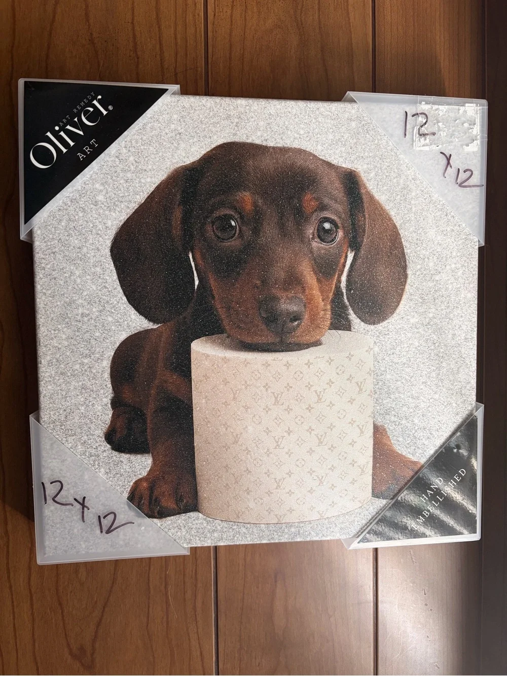 New!  Dachshund Dog Art canvas print. 12 x 12